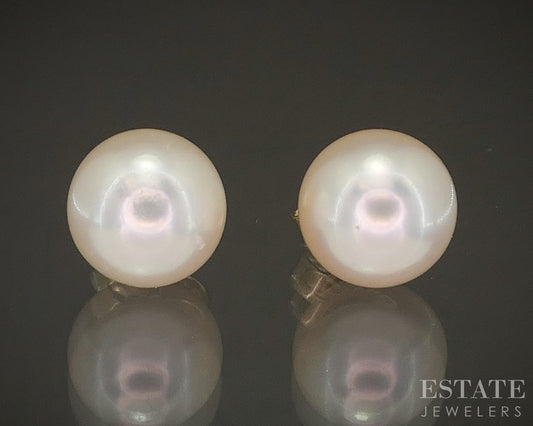 14k Yellow Gold 7.3mm Cultured Pearl Stud Earrings p22102b