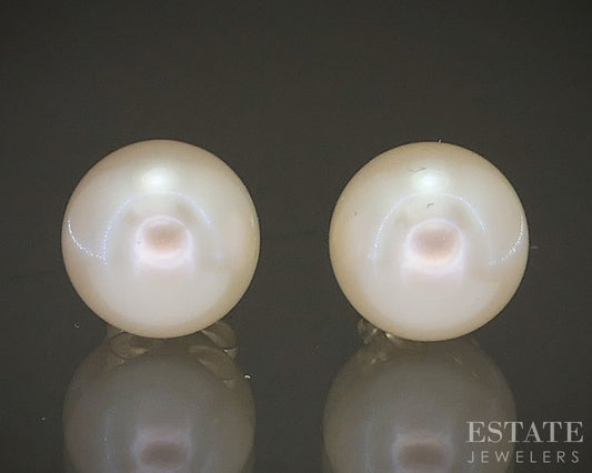 14k Yellow Gold 7.8mm Akoya Pearl Stud Ladies Earrings p22426b