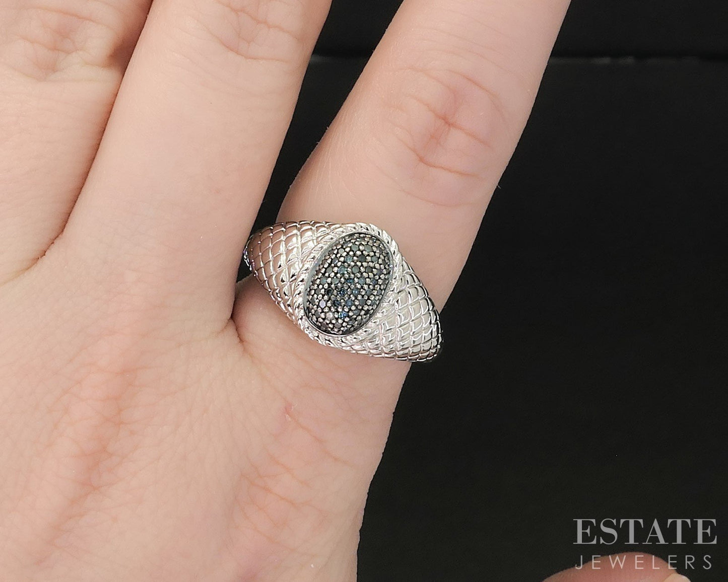 Sterling Silver Natural Blue Diamond Ladies Band Ring 5.2g i19735
