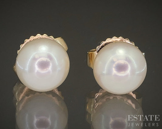 14k Yellow Gold 6mm Akoya Pearl Stud Ladies Earrings p21023