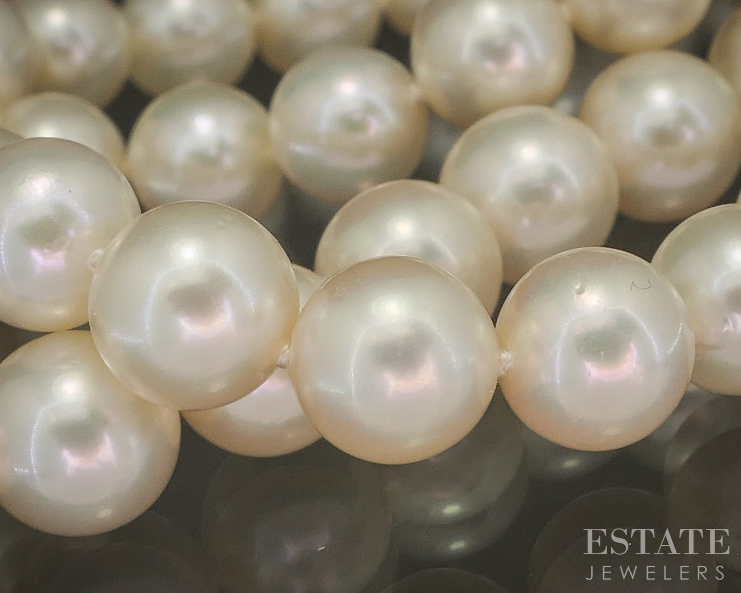 14k Yellow Gold Blue Lagoon Mikimoto 8mm Akoya Pearl Necklace 18"L p18739