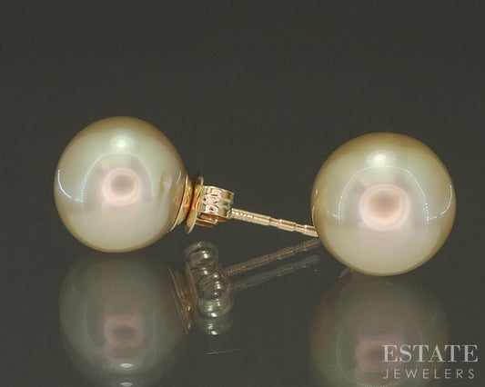 14k Yellow Gold 10mm Golden Cultured South Sea Pearl Stud Earrings p23577