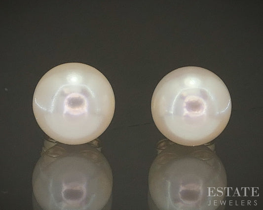 14k Yellow Gold 5.8mm Akoya Pearl Stud Ladies Earrings p22427b