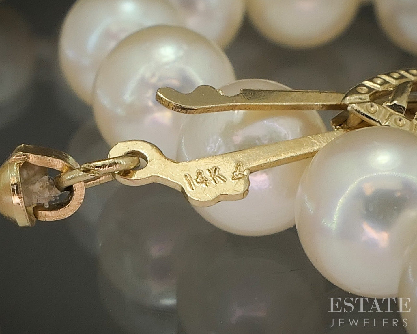 14k Yellow Gold 5.7mm Cultured Akoya Pearl Ladies Necklace 18"L p23312