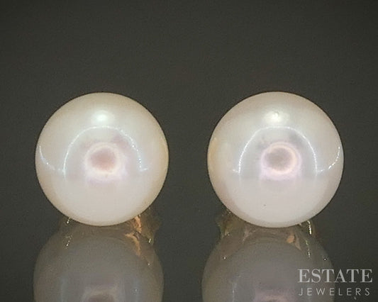 14k Yellow Gold 6.5mm Akoya Pearl Stud Ladies Earrings p27435b