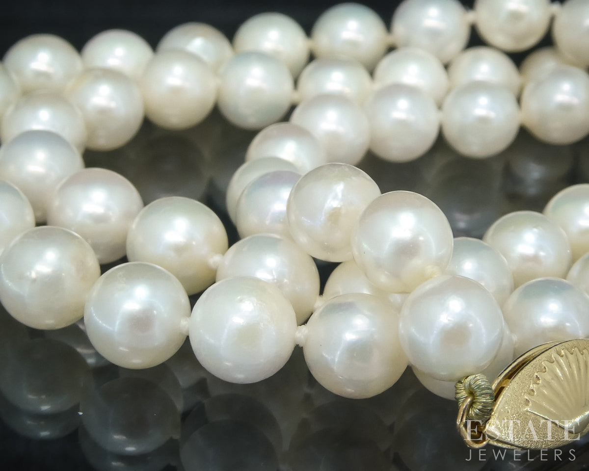 14k Yellow Gold 6.4mm Cultured Akoya Pearl Shell Clasp Necklace 18"L p30575b