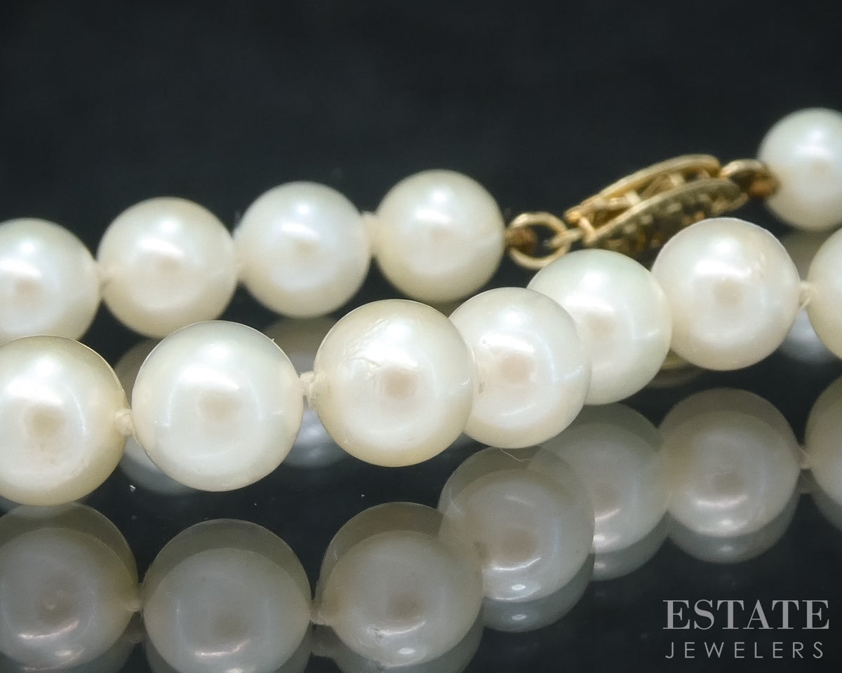 14k Yellow Gold 6mm Akoya Pearl Ladies Bracelet 7"L p30500b