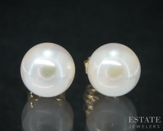 14k Yellow Gold 7.1mm Akoya Pearl Stud Ladies Earrings p31563