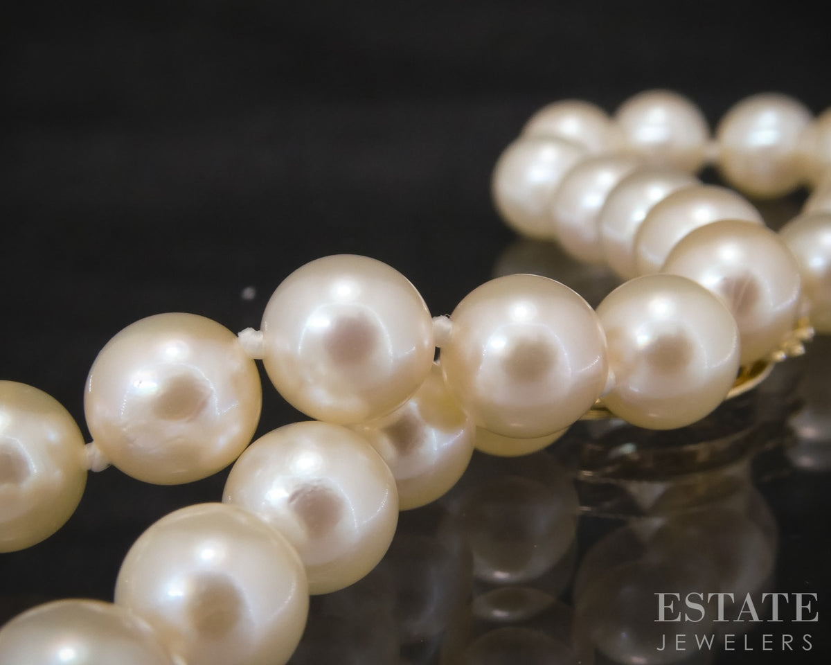 14k Yellow Gold 5.8mm Akoya Pearl Ladies Bracelet 7"L p31835